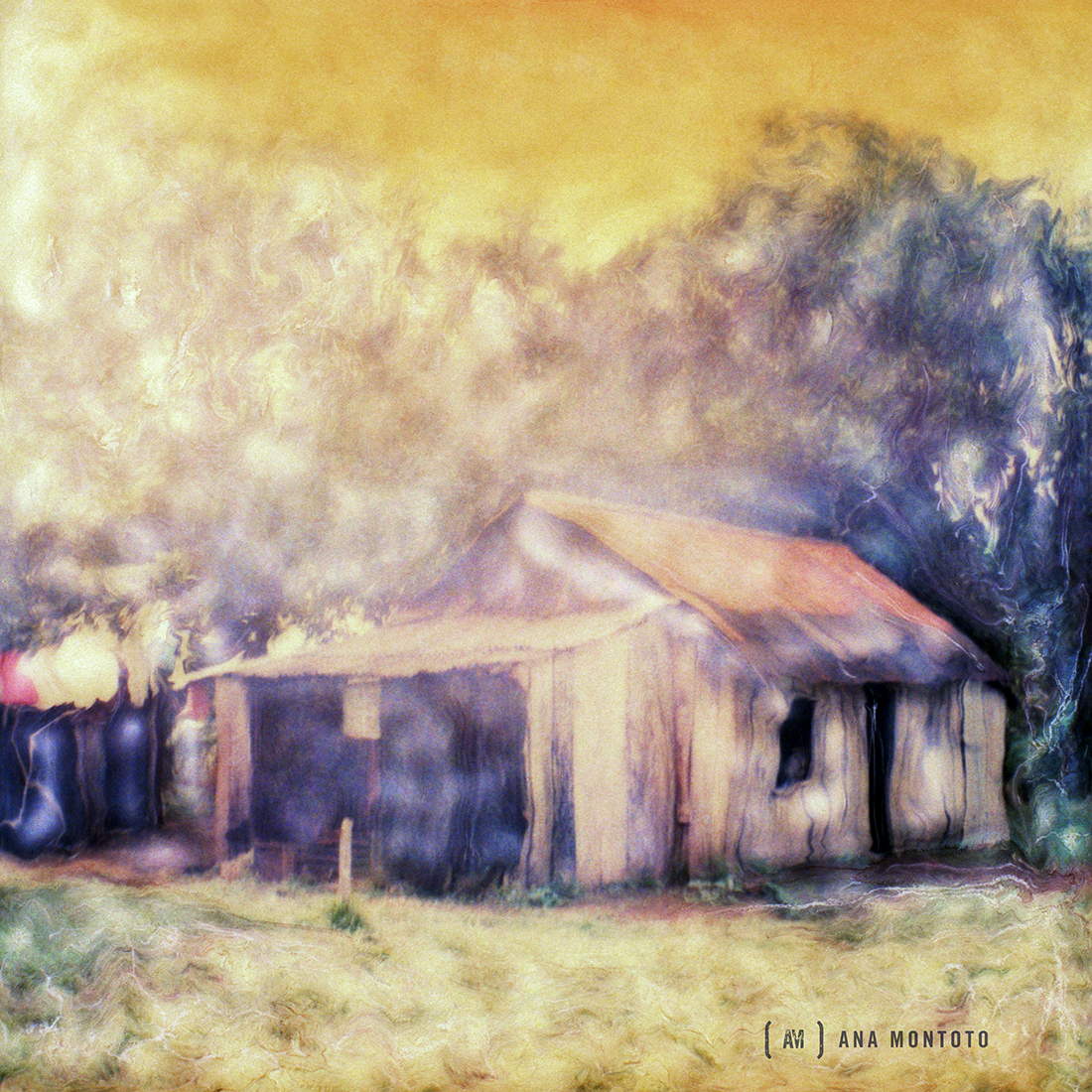 South Houses 8